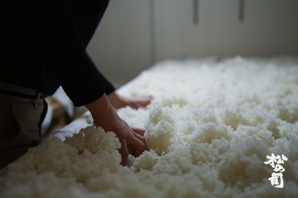 「松の司」滋賀県 松瀬酒造（まつせしゅぞう）